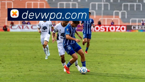 pa视讯服务体系